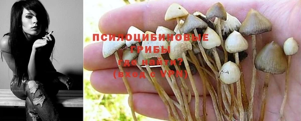 герыч Алзамай