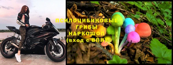 герыч Алзамай