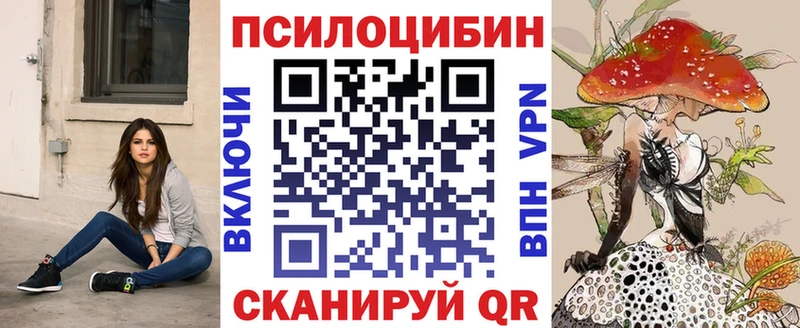 где можно купить наркотик  Пикалёво  Галлюциногенные грибы Psilocybine cubensis 